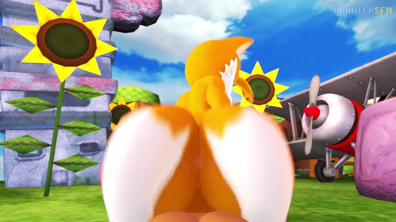 Tails riding Sonic