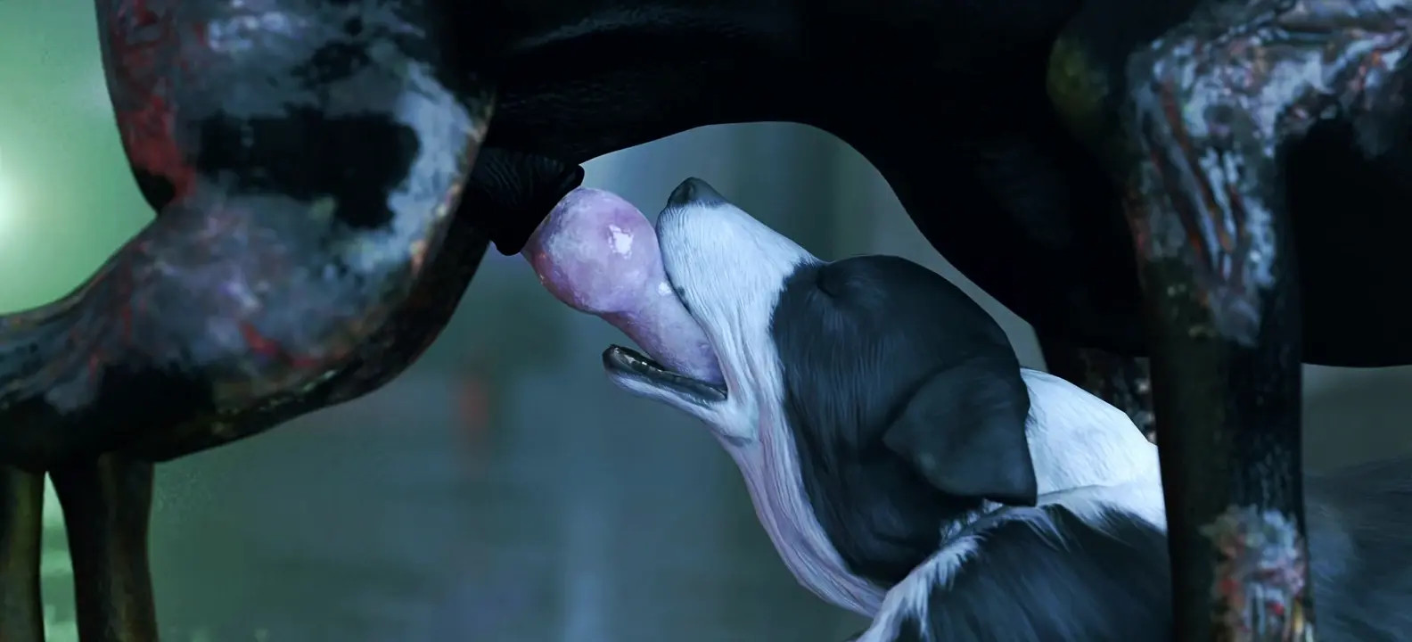 Z-Dog x Collie Facefuck Part 2 (TRIOAMI)