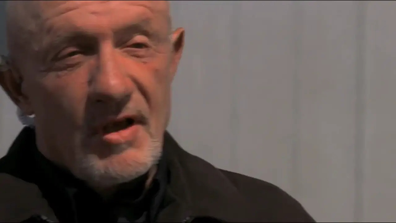 WHO LET THE DOGS OUT?! (HMV) by Hatikacan