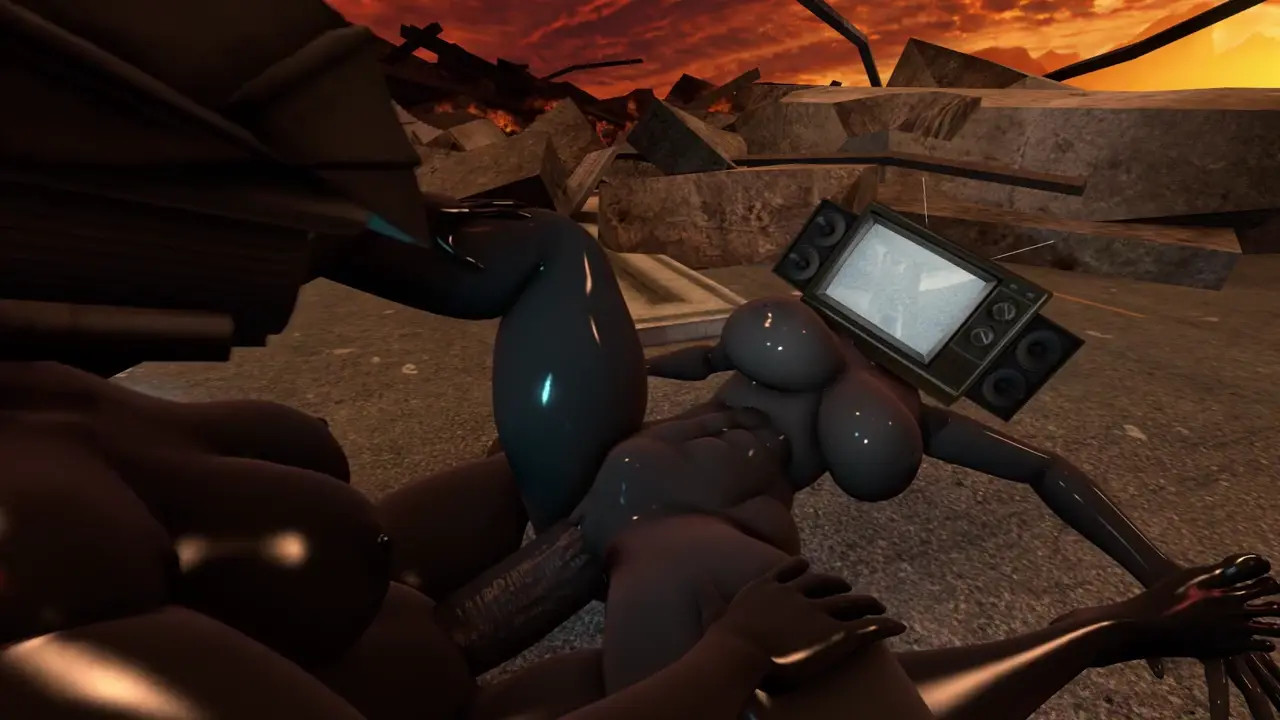 Câmera woman x TV woman