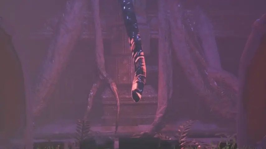 Breeding Bull - Aunt Cass