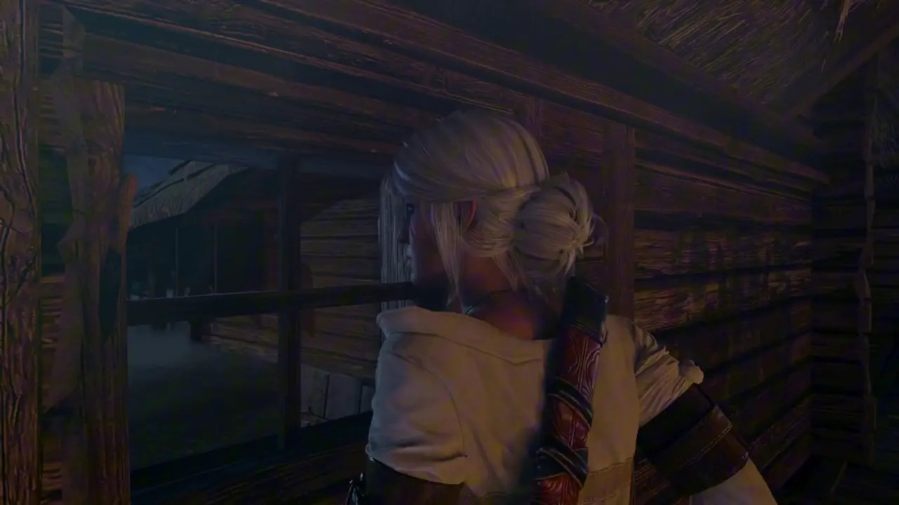 The Witcher - The Debt [LEGENDADO PT-BR]