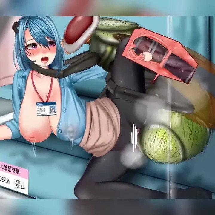 [HMV] Bugs vs. Girls