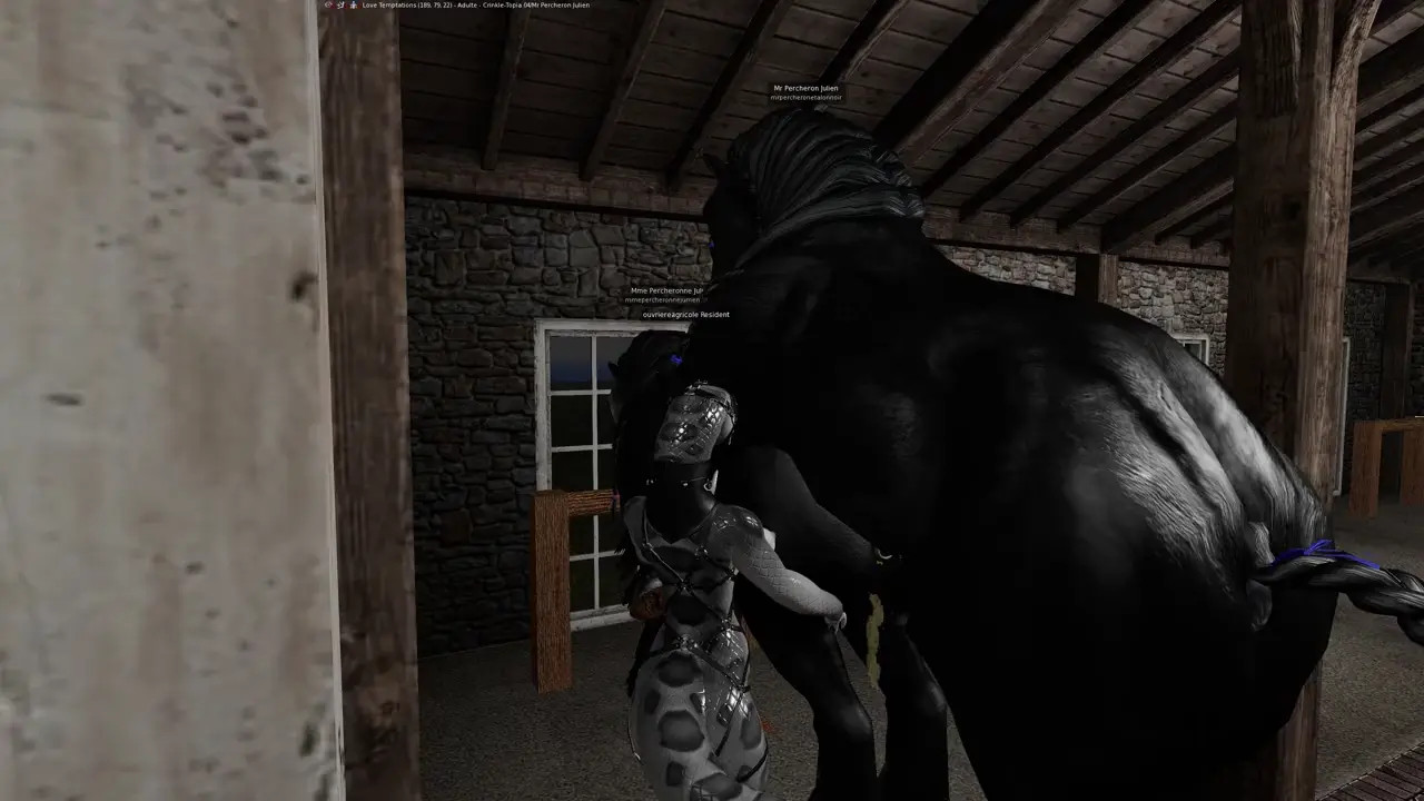 Percheron stallion mating with a Percheron mare, 1 in hand.