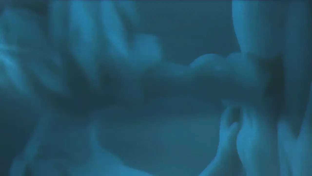 Underwater Furry Blowjob