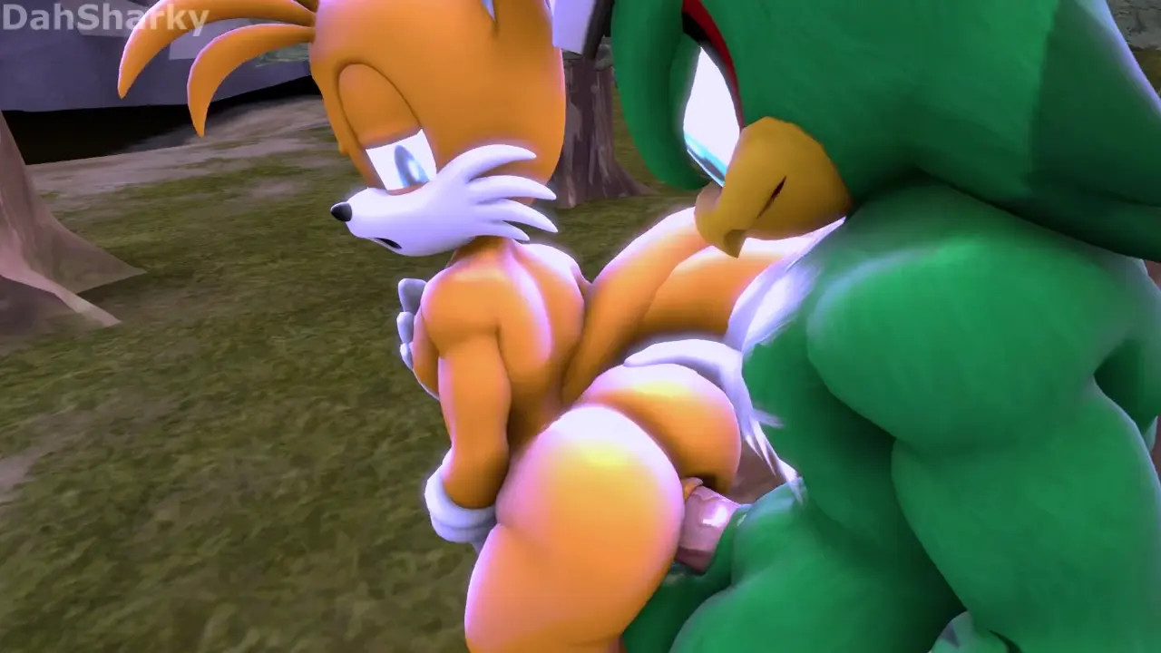 Jet Hawk x Tails