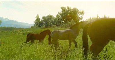 The Elder Slut: The Prelude (A Witcher fan-edit story)