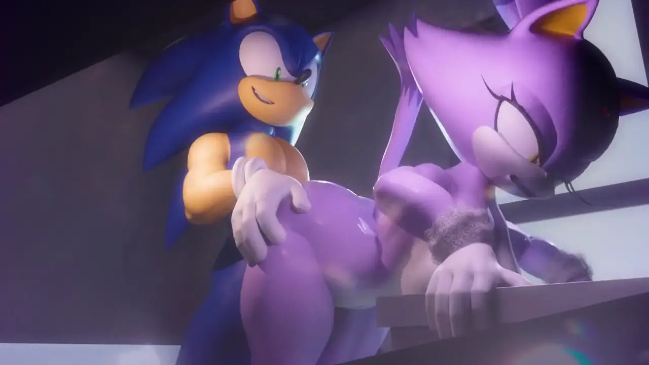 Sonic and Blaze