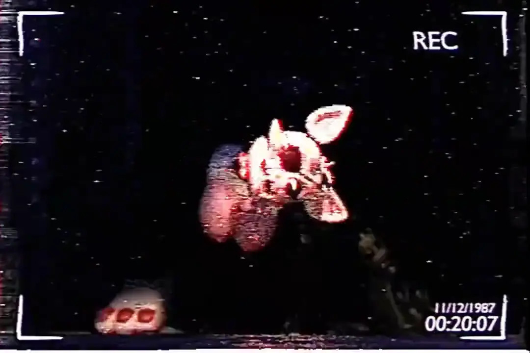 Footage of Mangle