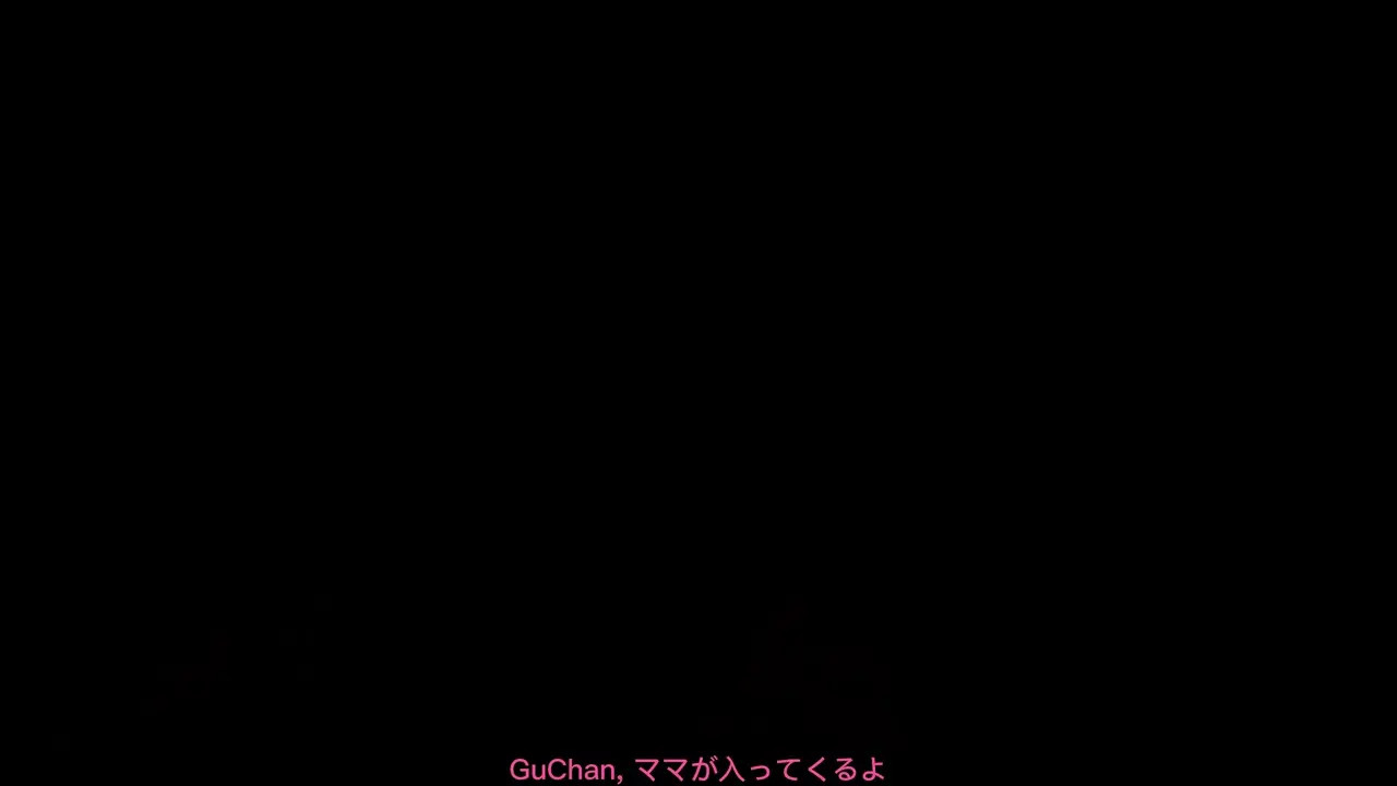 (D13) FCR 6