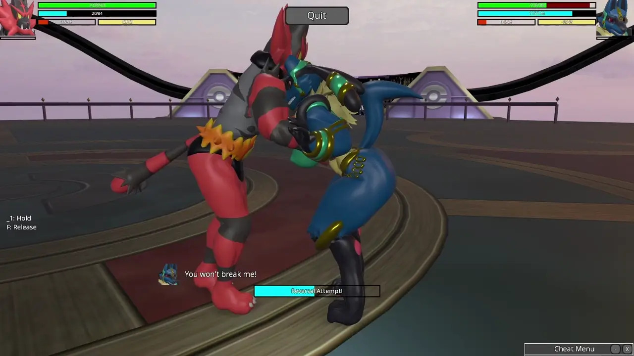 Lucario VS Incineroar - Heroine Rumble 2