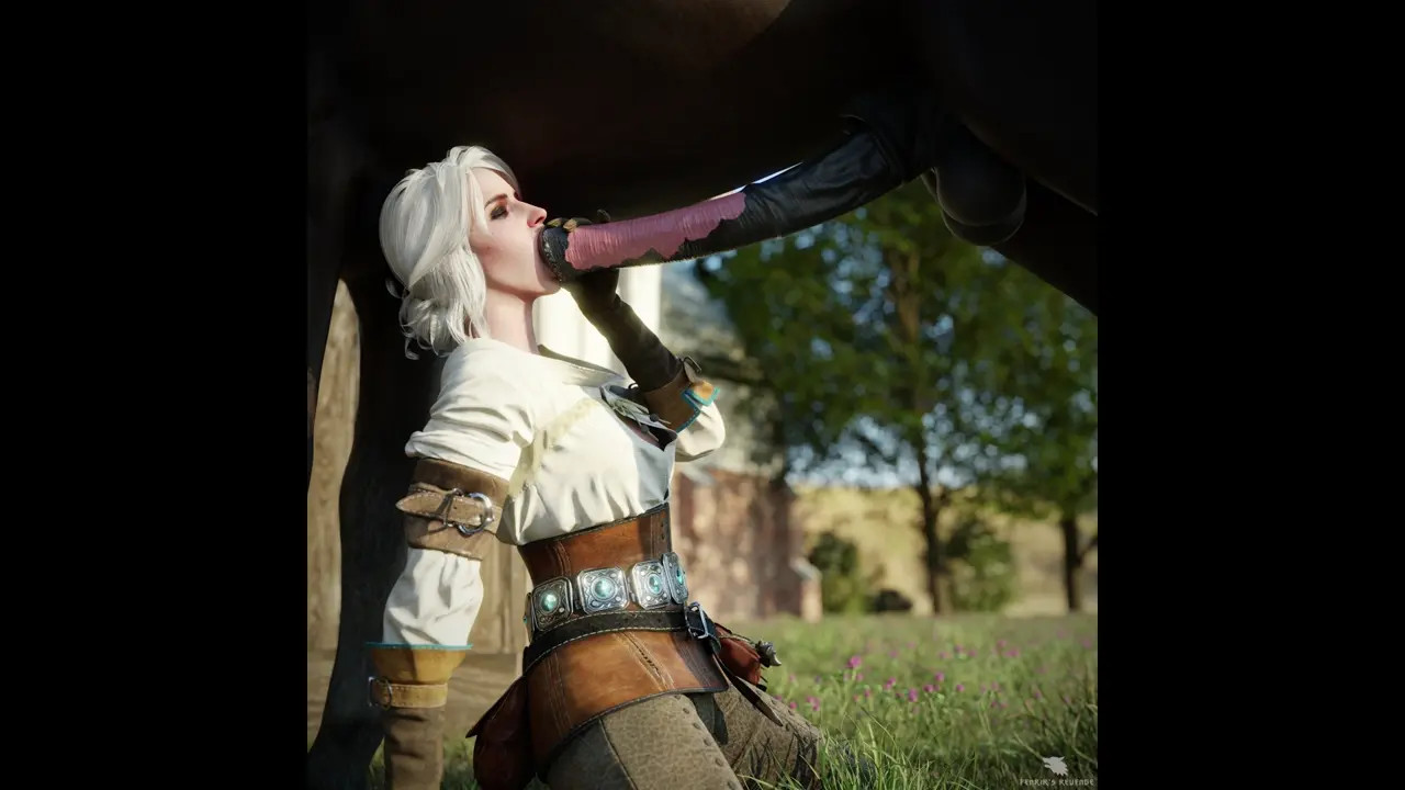 Ciri's Diary - Velens Horses