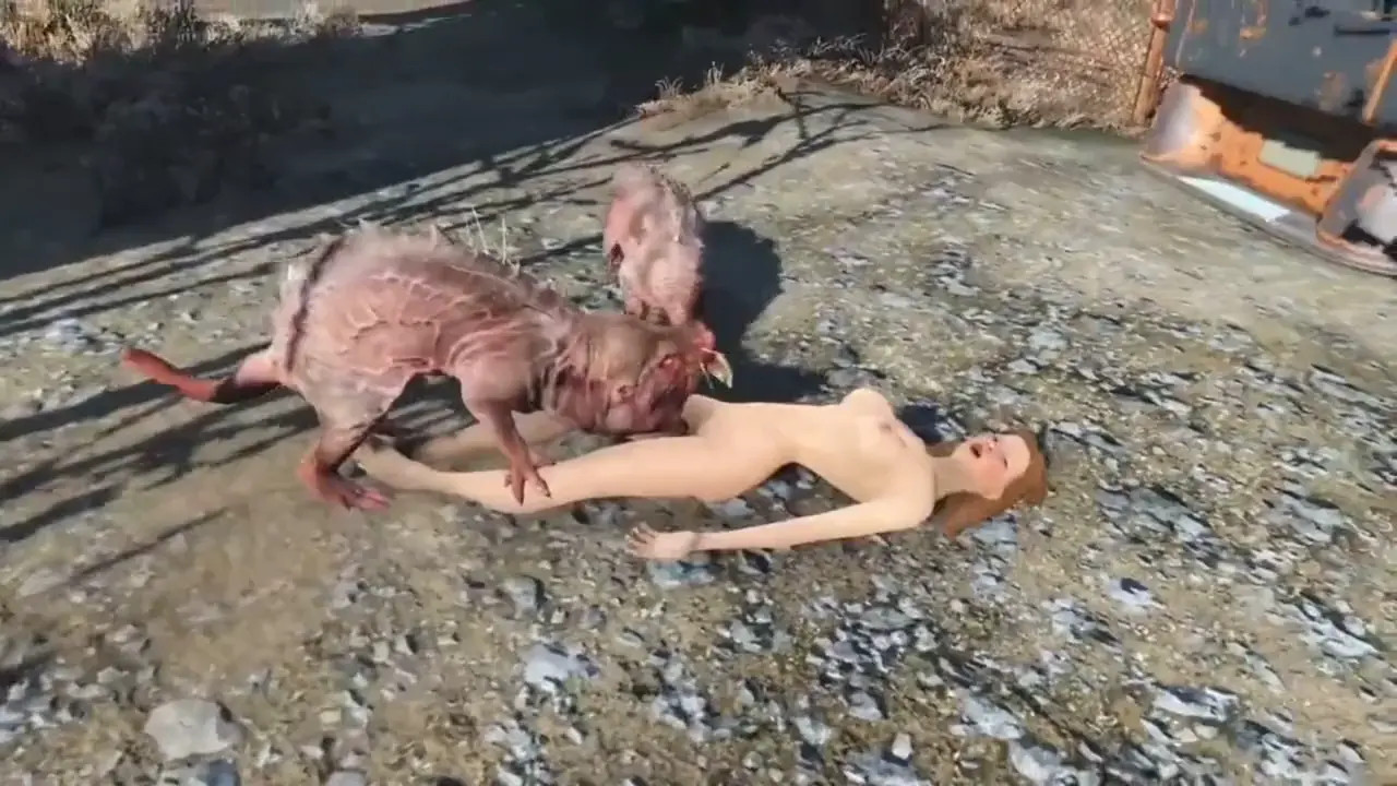 Chaos outside, comfort within