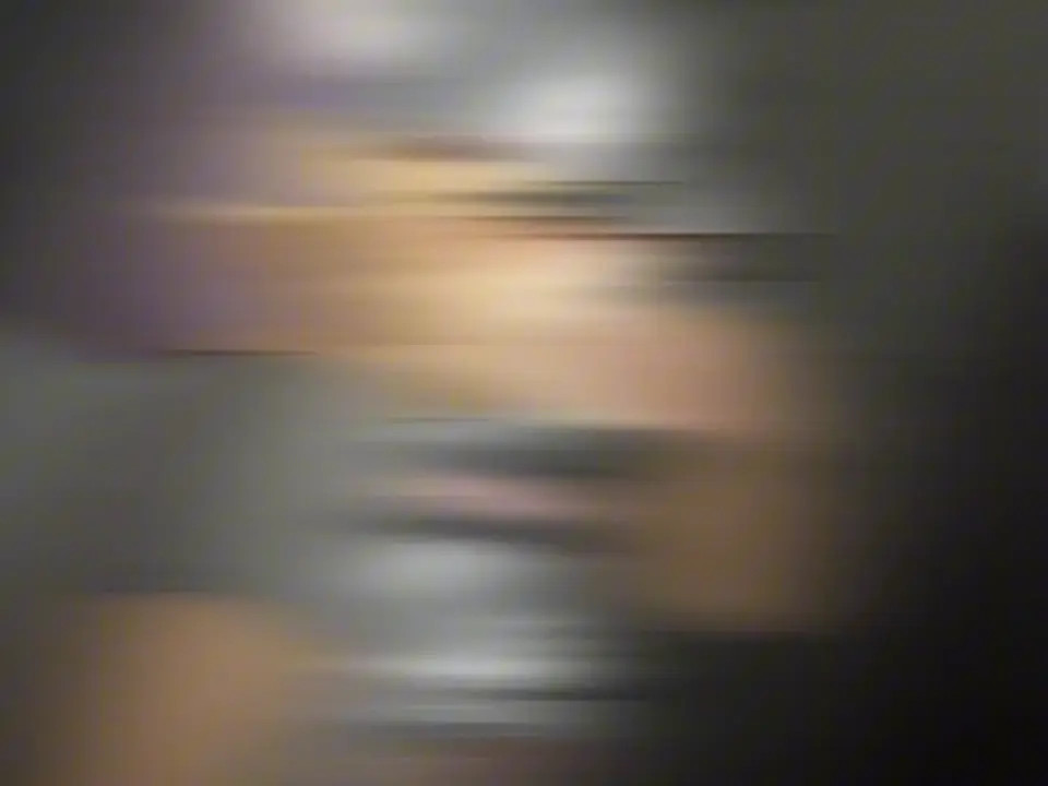 Zcik PMV