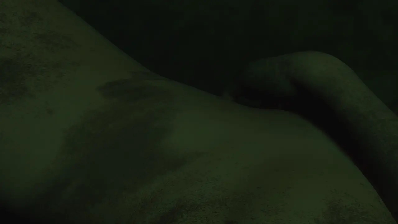 Claire & Tyrant (Ada POV)
