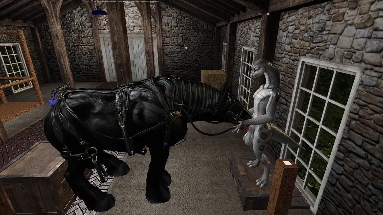 Percheron Stallion Sucks Snake's Dick