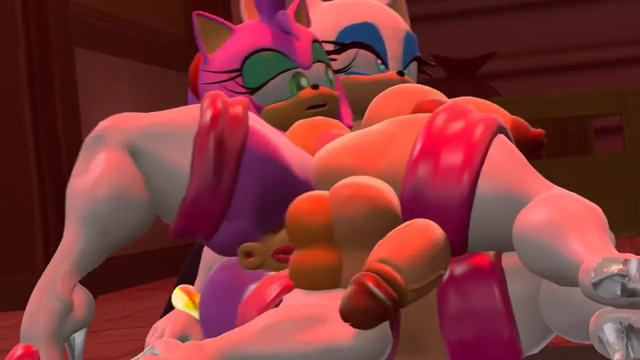 Amy and Rouge's Mission