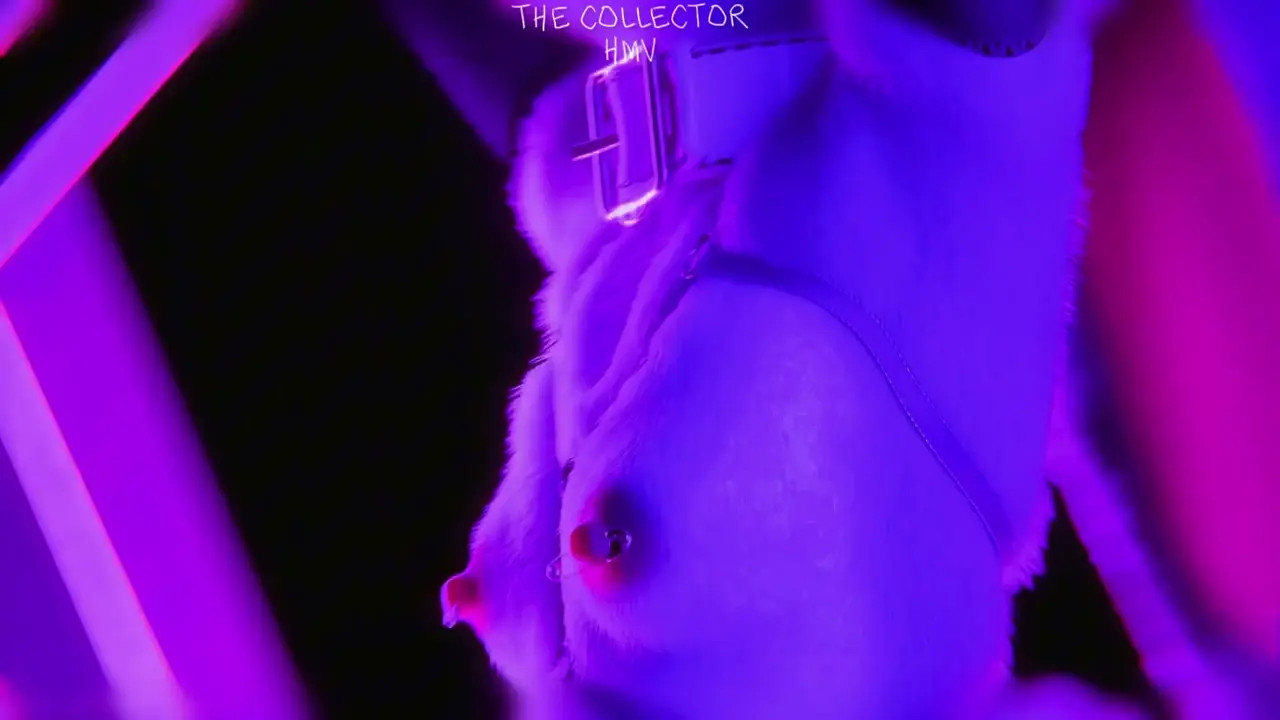 JUDY ON THE DASH HMV