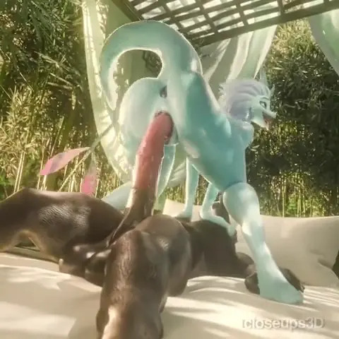 Your Horse Not normal