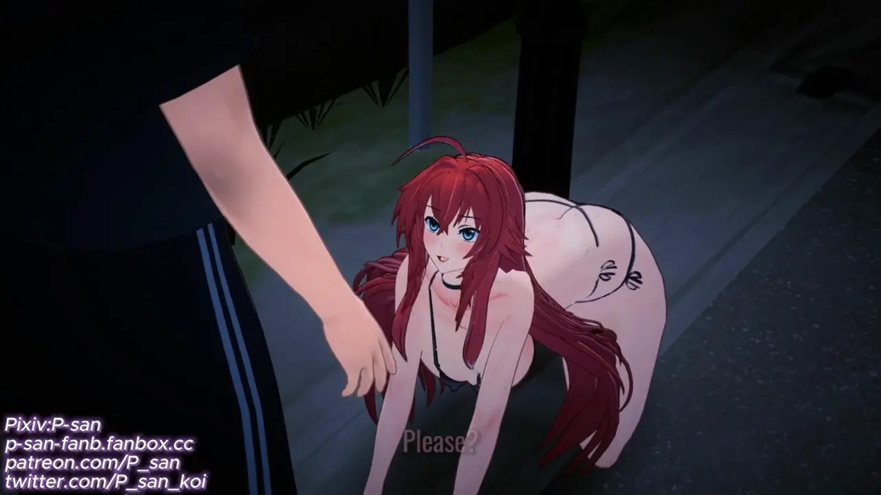 DxD P-San 2