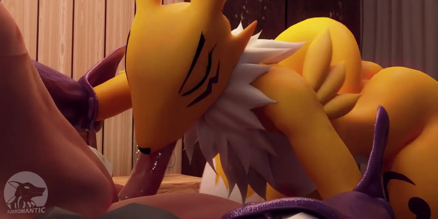 Renamon Blowjob Pov