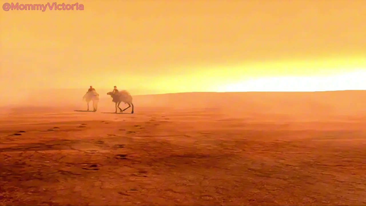 Blacked Rider- Lara Croft PMV