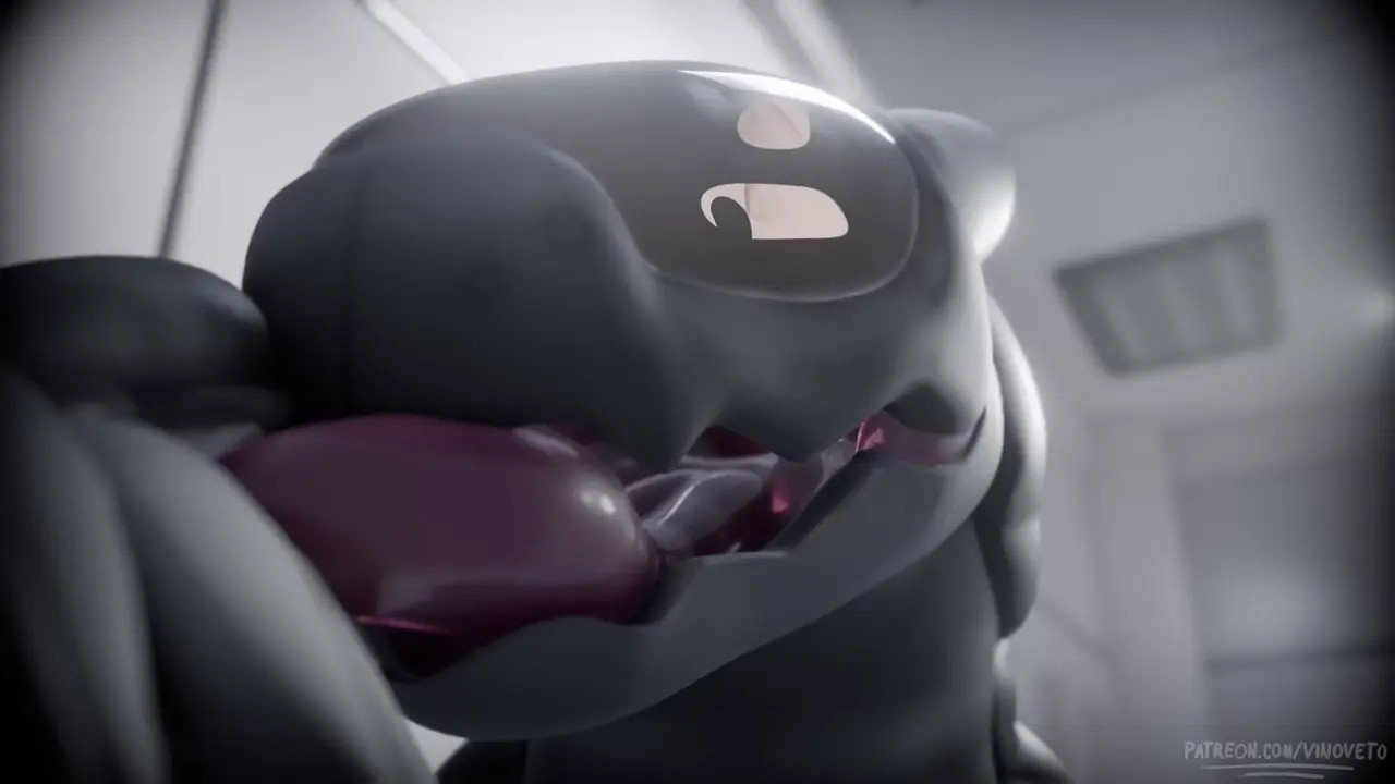 The joke is porn | Vinoveto