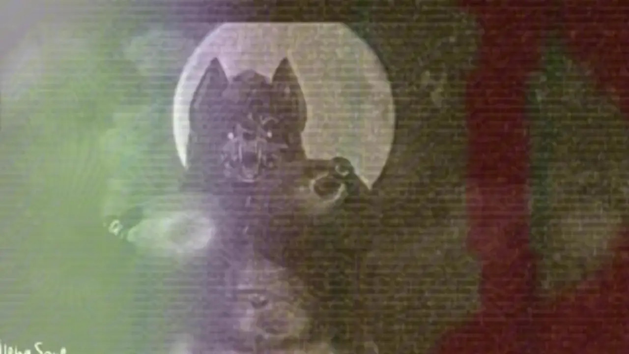 Cry Havoc Mal0 PMV