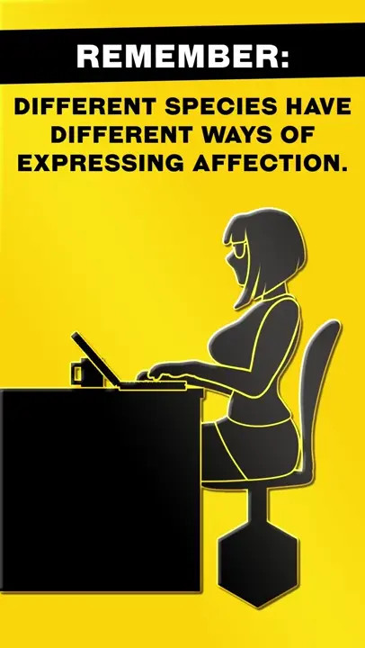 [Zoquete] I found this instructional tape in a parallel universe. (Fallout)