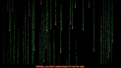 (D13) Vision Extra 1: Burglar