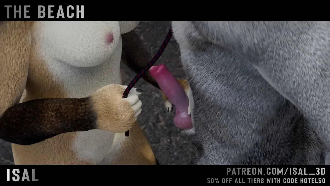 The Beach - Full release  - Straight