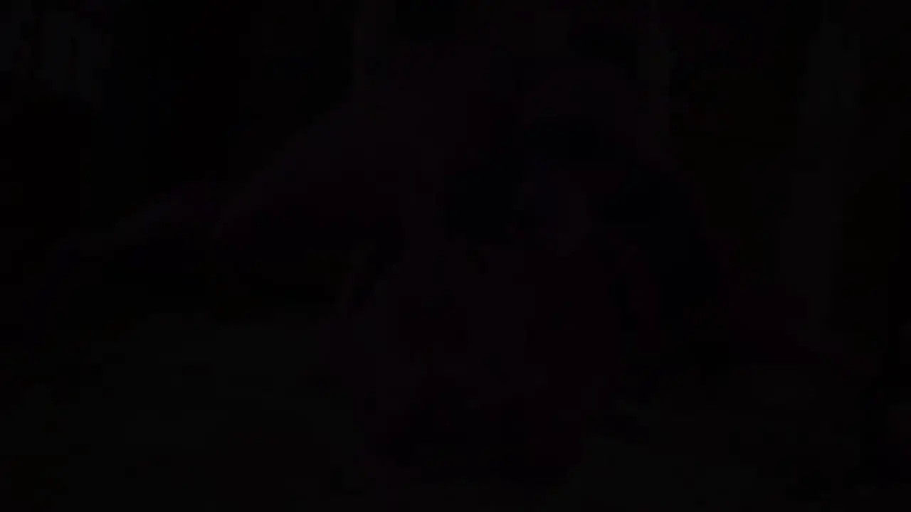 Twilight Sparkle Pov