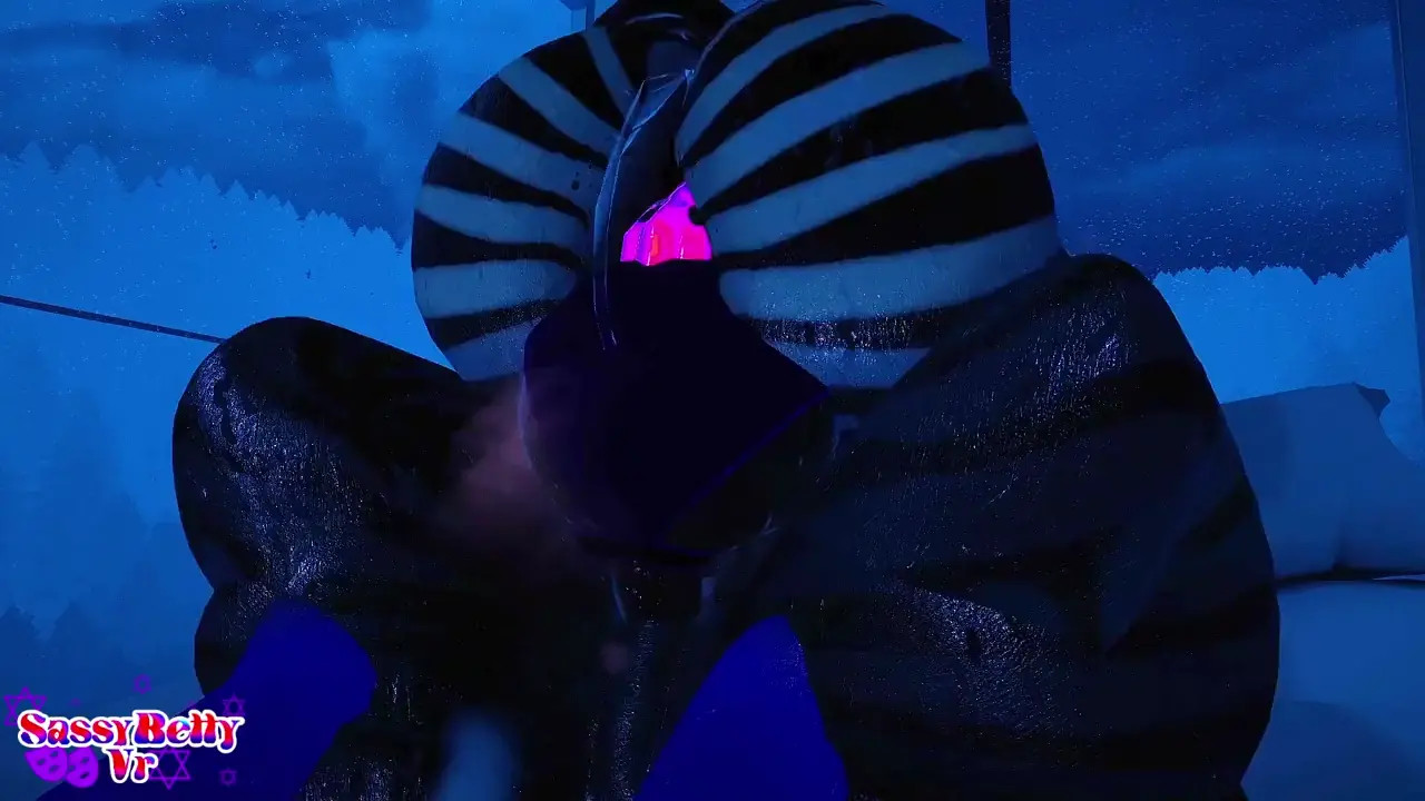 Having some Zebra fun