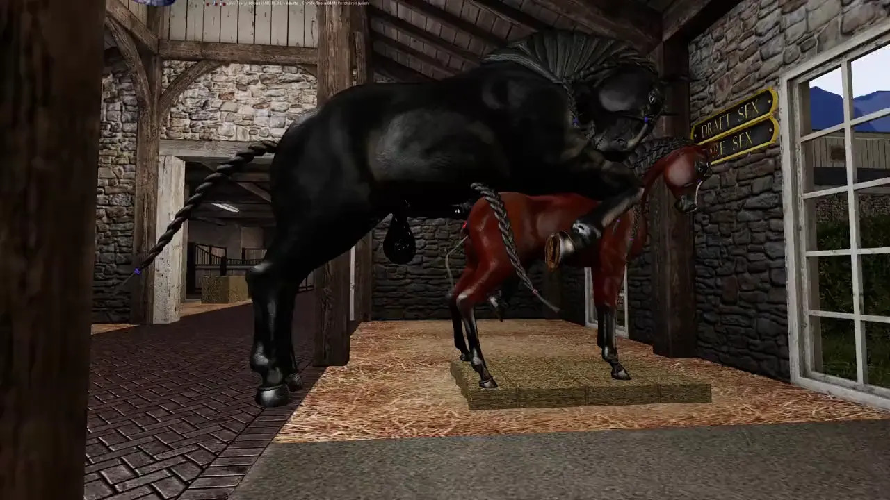A Percheron draft stallion covers an Arabian mare