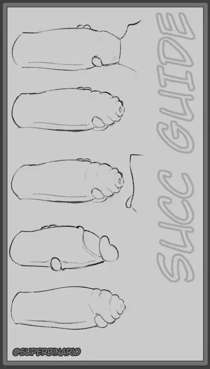 Succ Guide