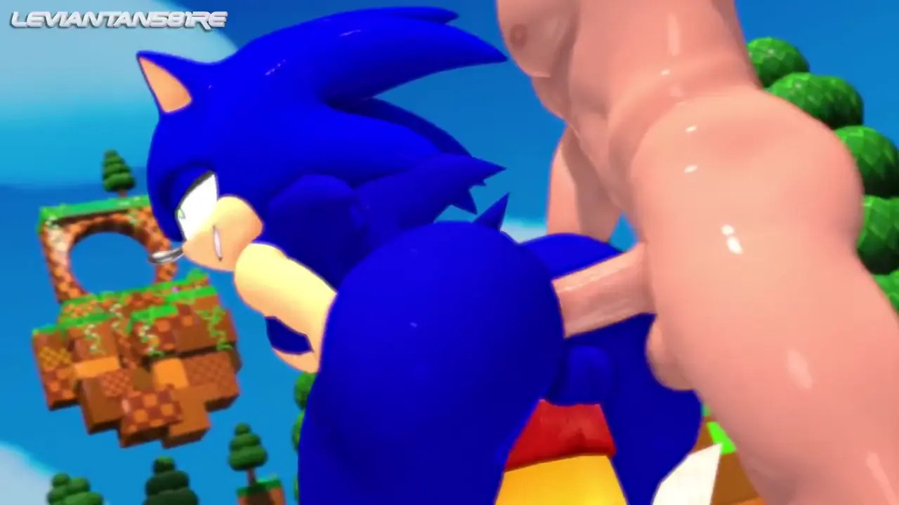 Sonic Anal