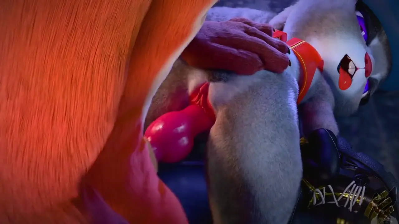Judy hopps Laying Back Pov