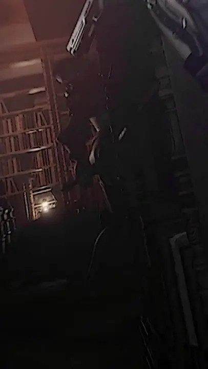 Ada Wong porn meme