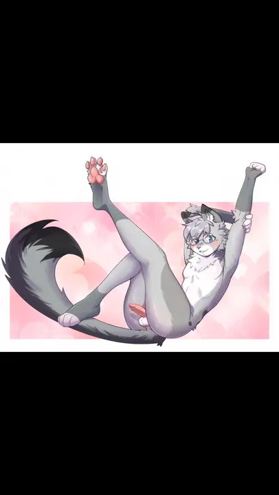 Furry femboy compelstion (nixuelle)