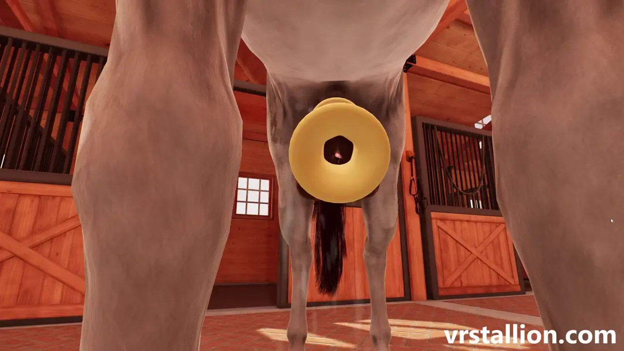 Horse Milking - VR Stallion 2.14 Gameplay