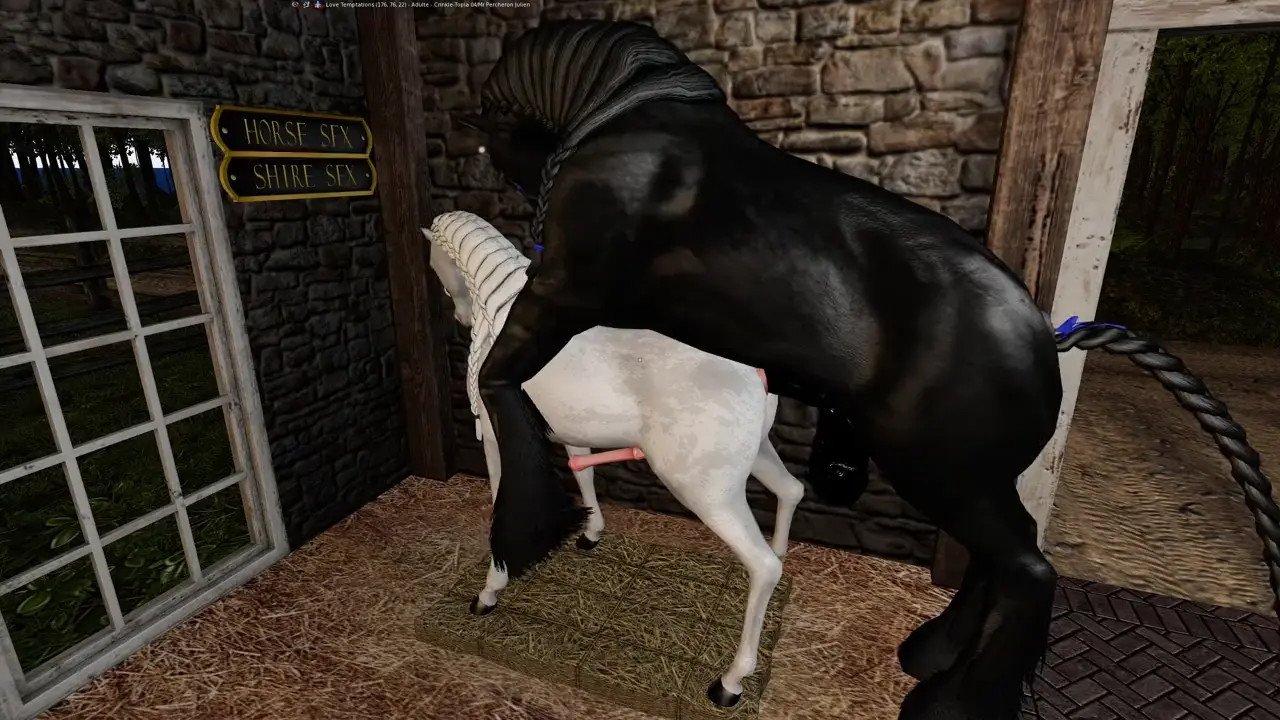 Shire stallion mating with an Arabian stallion