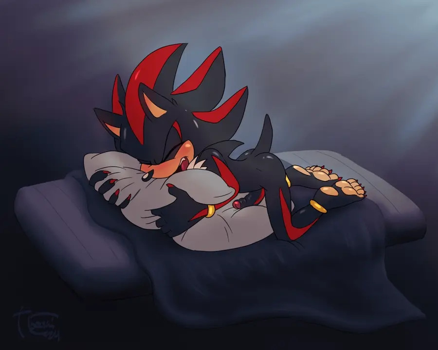 Shadow's Pillow