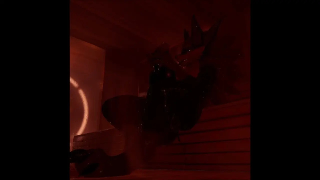 Solo Sauna Fun