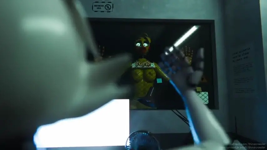 Freddy Bonnie Chica Foxy & mangle Pov