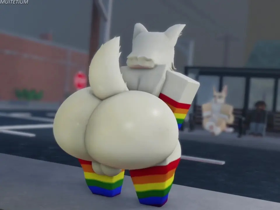 [No Sound] Gay Arctic Fox