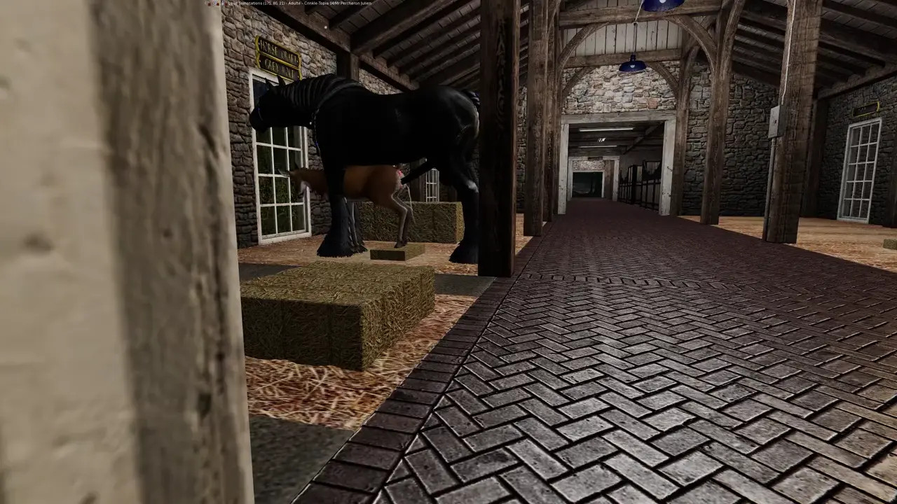 Shire stallion mated with a doe