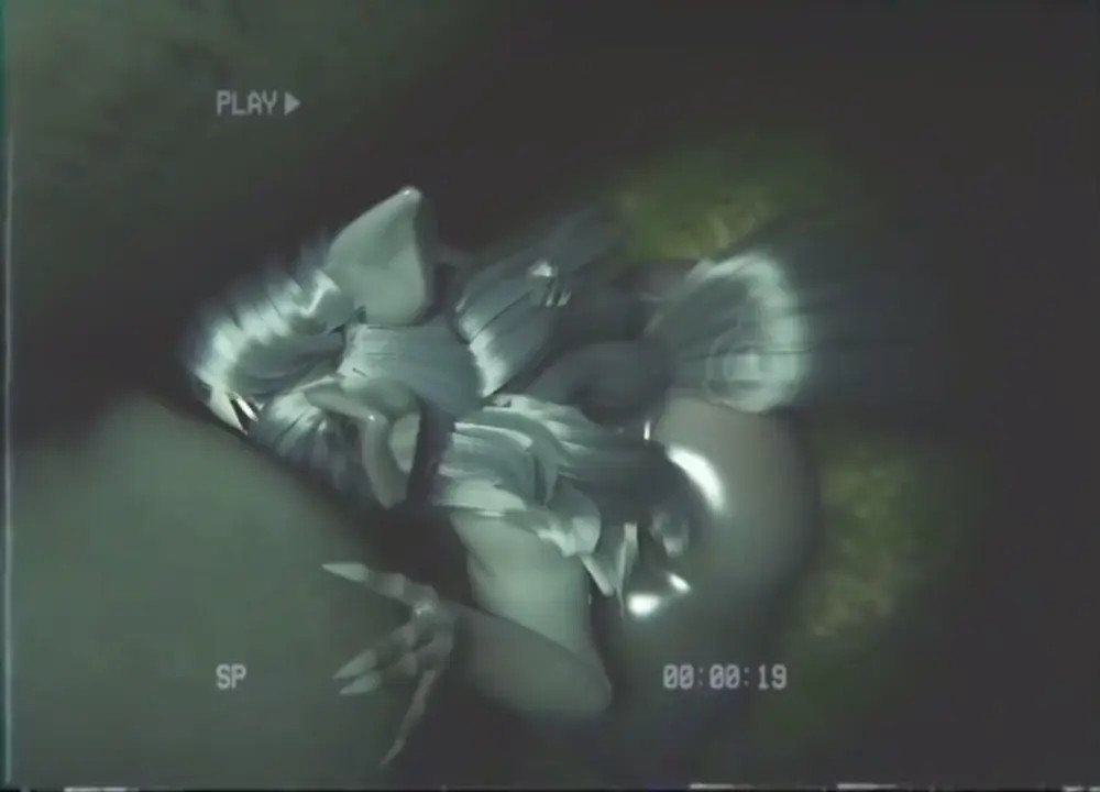 Mal0 Ability Deep Test