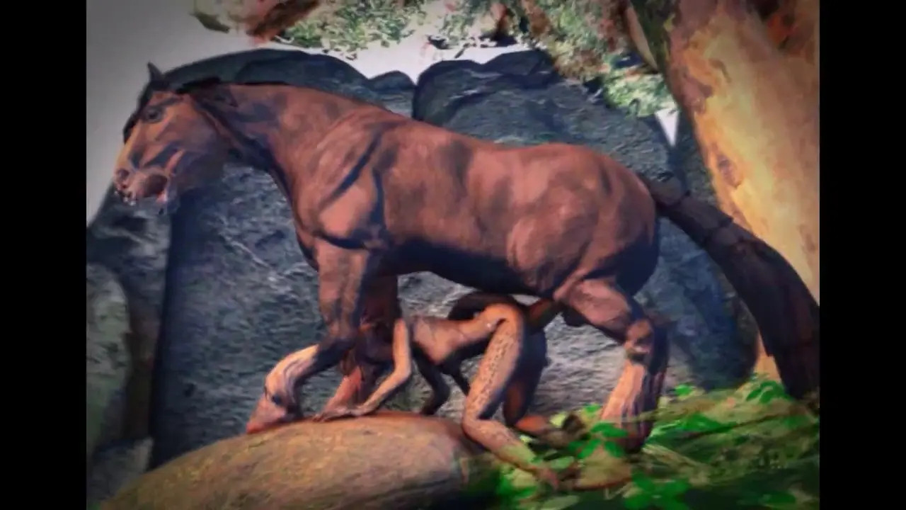 Horse sex compilation