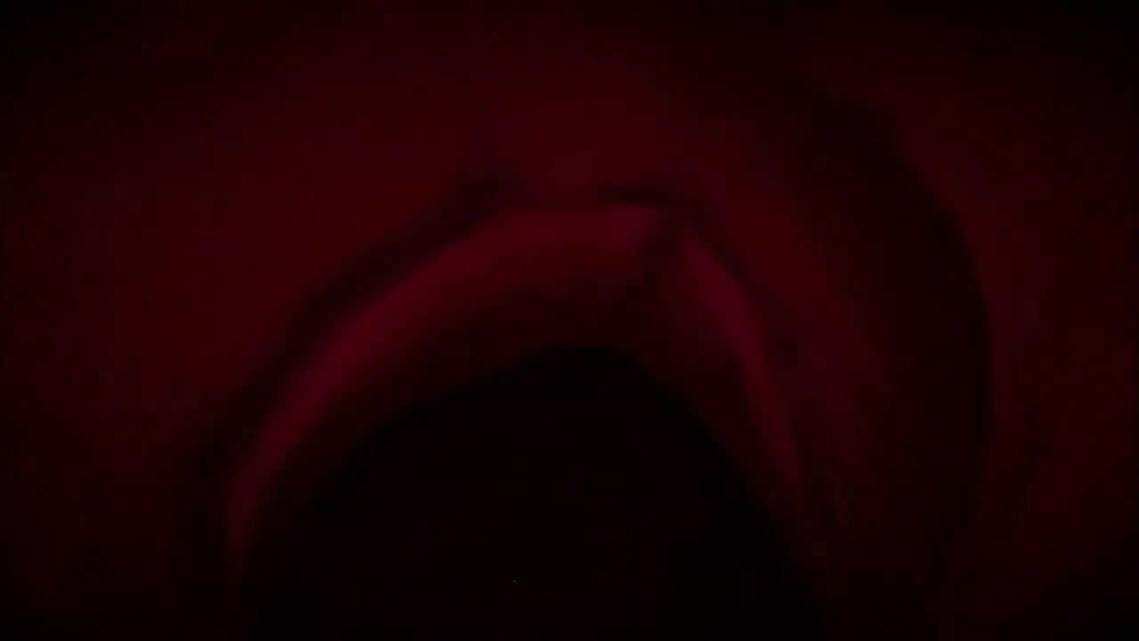Anal vore by brackets guy