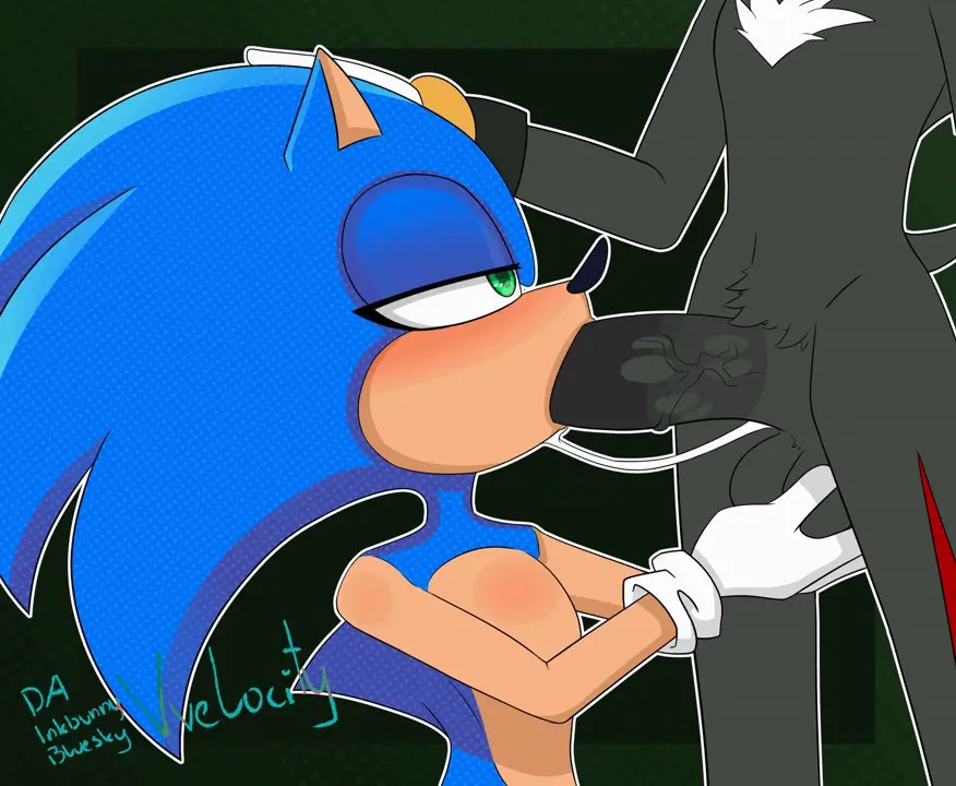 Sonic blowjob Shadow [vvelocity]